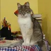 Отзыв от Нинель Басова